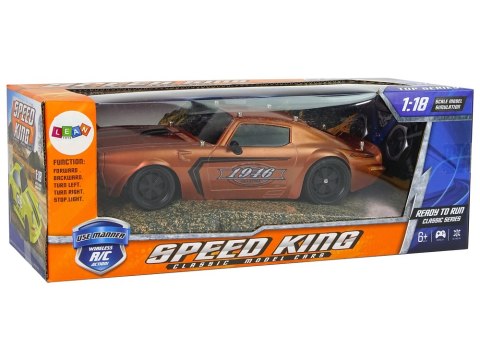 Auto Sportowe R/C 1:18 Brązowe Champion Pilot Auto Sportowe R/C 1:18 Brązowe Champion Pilot