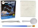 Zestaw Archeologiczny Wykopaliska Dinozaur Szkielet Pteranodon Zestaw Archeologiczny Wykopaliska Dinozaur Szkielet Pteranodon