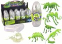 Świecący W Ciemności Szkielet 3D Dinozaury Mamut w Jajku Świecący W Ciemności Szkielet 3D Dinozaury Mamut w Jajku