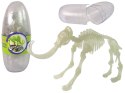 Świecący W Ciemności Szkielet 3D Dinozaury Mamut w Jajku Świecący W Ciemności Szkielet 3D Dinozaury Mamut w Jajku