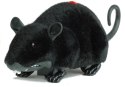 Mysz Zdalnie Sterowana Pilotem R/C Na Kółkach Duża Czarna Mysz Zdalnie Sterowana Pilotem R/C Na Kółkach Duża Czarna