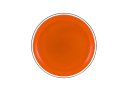 Dysk Latający Frisbee z Dinozaurem Pomarańczowy 20 Cm Dysk Latający Frisbee z Dinozaurem Pomarańczowy 20 Cm