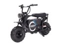 Motor Na Akumulator FIRESTORM HP123E Czarny Motor Na Akumulator FIRESTORM HP123E Czarny