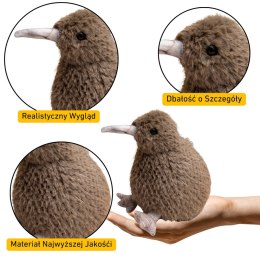 Kiwi Ciemnobrązowy 25cm