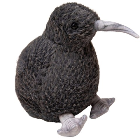 Kiwi Czarny 20cm Kiwi Czarny 20cm