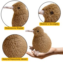 Kiwi jasnobrązowy 25cm