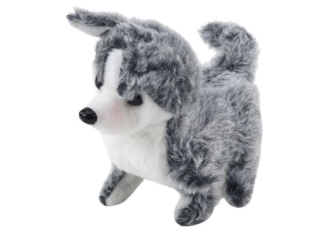 Piesek husky srebrny Piesek husky srebrny