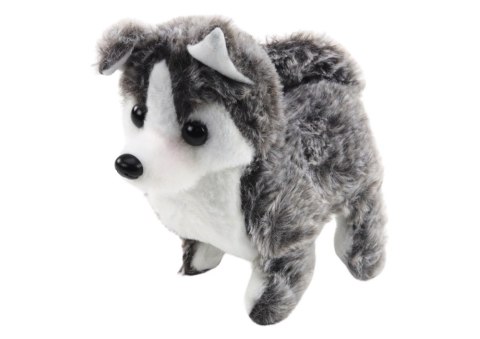 Piesek husky srebrny Piesek husky srebrny