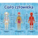 Gra Edukacyjna Ciało człowieka/ Mistrz Wiedzy Trefl 01957 Gra Edukacyjna Ciało człowieka/ Mistrz Wiedzy Trefl 01957