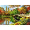 500+1 Puzzle Drewniane - Central Park, Manhattan, Nowy Jork 20157
