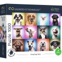 PUZZLE TREFL PRIME UFT 1000 z wesołymi pieskami 10706