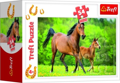 Puzzle "54 mini" - Świat koni / Trefl 54193 Puzzle "54 mini" - Świat koni / Trefl 54193