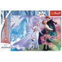 Puzzle - 200 - Magiczny świat sióstr - Disney Frozen Trefl 13265 Puzzle - 200 - Magiczny świat sióstr - Disney Frozen Trefl 13265