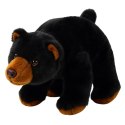 Pluszowa Maskotka Przytulanka Niedźwiedź Czarny 28cm Pluszowa Maskotka Przytulanka Niedźwiedź Czarny 28cm