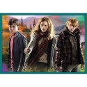 Puzzle 10w1 Harry Potter W świecie Harrego Pottera 90392 Puzzle 10w1 Harry Potter W świecie Harrego Pottera 90392