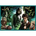 Puzzle 10w1 Harry Potter W świecie Harrego Pottera 90392 Puzzle 10w1 Harry Potter W świecie Harrego Pottera 90392