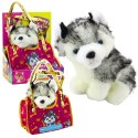 Piesek Husky W Torebce Pluszowy Maskotka Przytulanka Biało Szary Piesek Husky W Torebce Pluszowy Maskotka Przytulanka Biało Szary